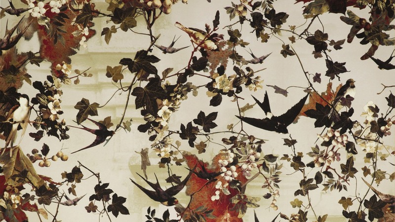 Jean-Paul Gaultier 3306 HIRONDELLES