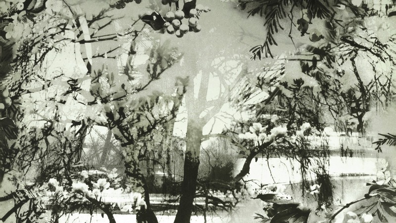 Jean-Paul Gaultier 3307 BRUME