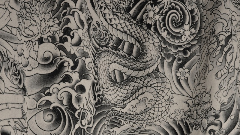 Jean-Paul Gaultier 3433 KOMODO