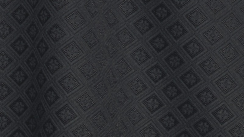 LELIEVRE 0731 CAVALO