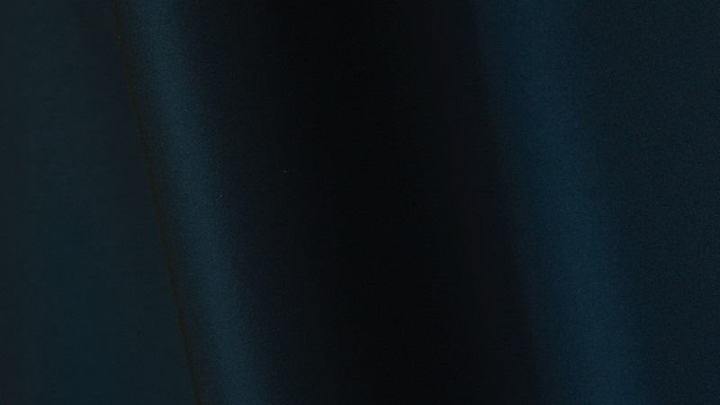 LELIEVRE 0740 FRENESIE