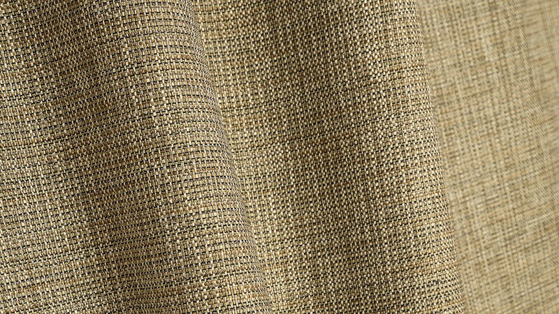 LELIEVRE 0746 MANGROVE