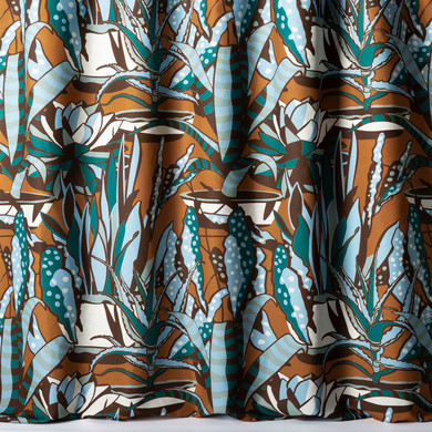 Nobilis 10859 Agaves