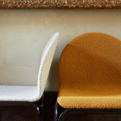 nobilis-10949-baikal