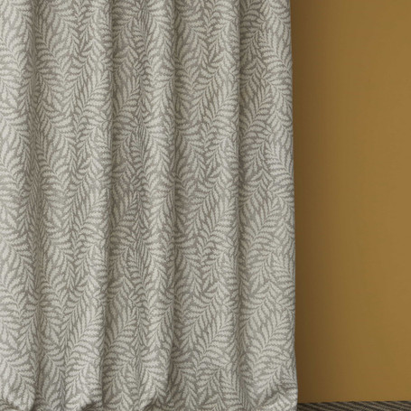 nobilis-10801-fougere