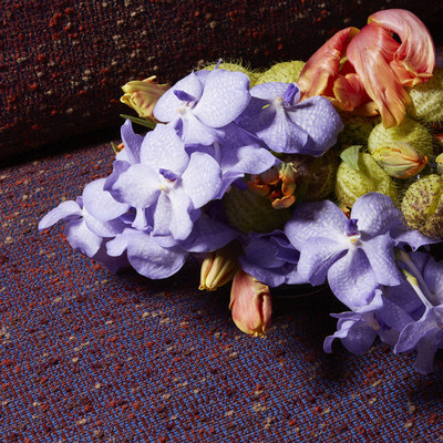 nobilis-10893-nymphea