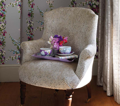 nina-campbell-ncf4160-lizong