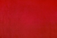12093_70_N.jpg