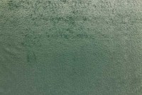 12724_35_N.jpg