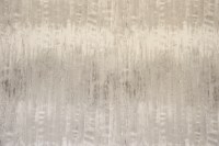 12845-60.jpg