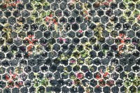 12851_64_N.jpg