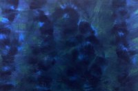 12859_14_N.jpg