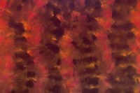 12859_46_N.jpg