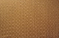 casal_13393-47.jpg
