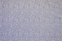 13457-15.jpg