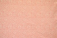 13457-70.jpg