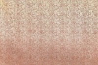 13464_47_N.jpg