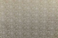 13464_76_N.jpg
