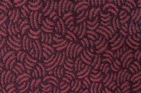 13474_80_N.jpg