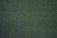 16210-103.jpg