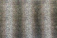 3014_3949_N.jpg