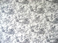 casal_30350_0.jpg