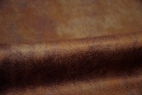 casal_5080-50.jpg