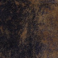 casal_5080-52.jpg