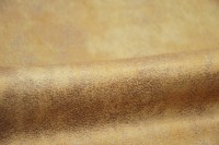 casal_5080-73.jpg