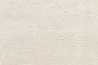 casal_5098-13.jpg