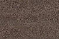 casal_5098-54.jpg