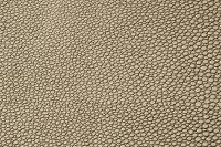casal_5129-77.jpg