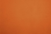 casal_5132-20.jpg