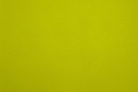 casal_5132-30.jpg