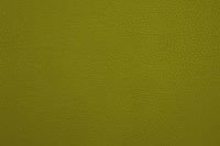 casal_5132-33.jpg