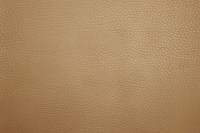 casal_5132-77.jpg