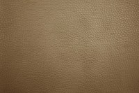 casal_5132-78.jpg