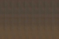 5244_55_N.jpg