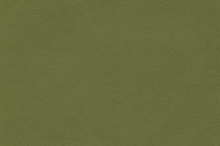 5245_33_N.jpg