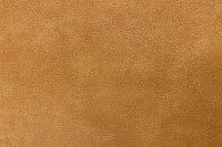 5253_50_N.jpg