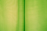 casal_54029-431.jpg