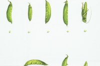1-thumbnail-14563.304.jpg