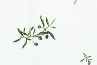 3-thumbnail-14565.504.jpg