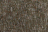 conga_14662_flat_204_web_1.jpg