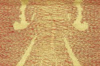 palazzo_14418_803.jpg