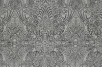 persian_nights_14465_505.jpg