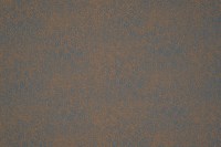 phoenix_14504_409.jpg