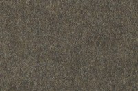 polaris_14393_357_1.jpg