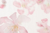 sakura_14372_202_1.jpg