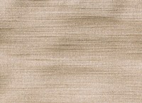 schining_2646_607.jpg